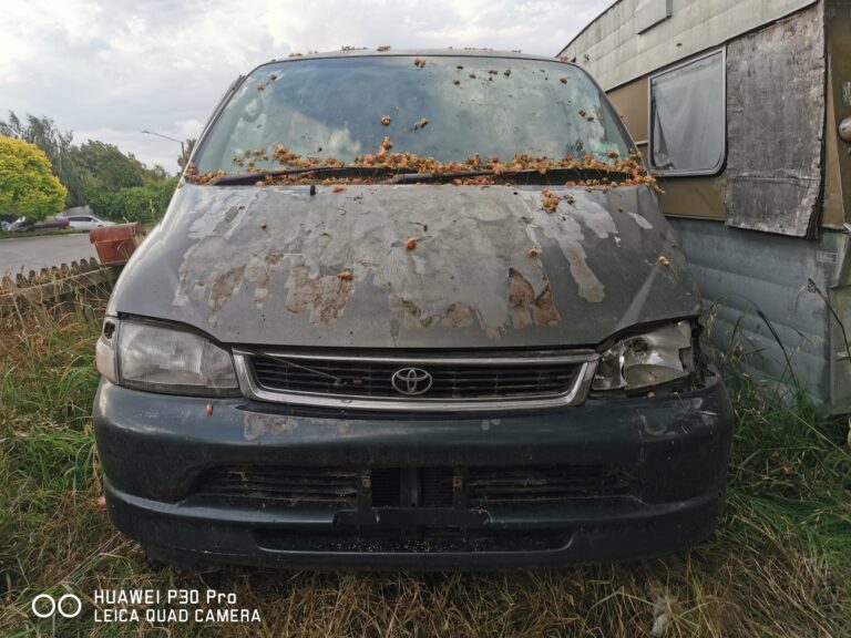 automotive dismantlers mosgiel, otago, nz