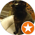 4 stars rating for Otago Car Removal by Juliette Cooke on Google